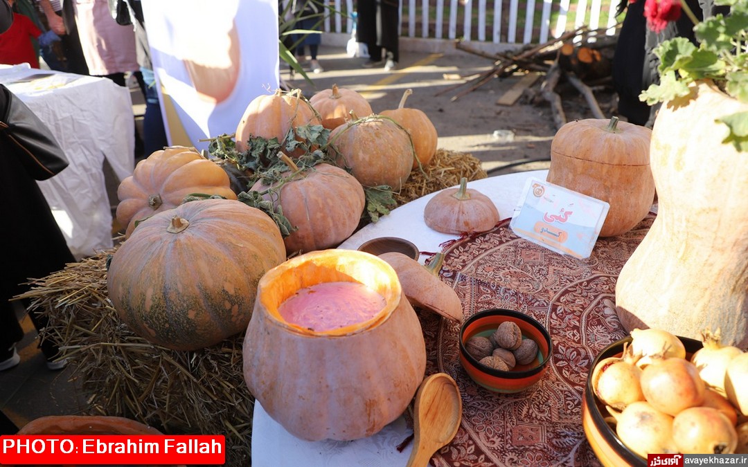 داستان یک کدو حلوایی؛ از جشنواره 