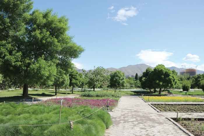 مهمـانی گلهای داودی | جشنواره ای از ۶۰۰ طیف گل رنگی در باغ گیاهشناسی