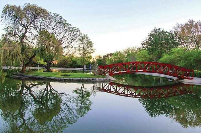 مهمـانی گل‌های داودی | جشنواره ای از ۶۰۰ طیف گل رنگی در باغ گیاه‌شناسی