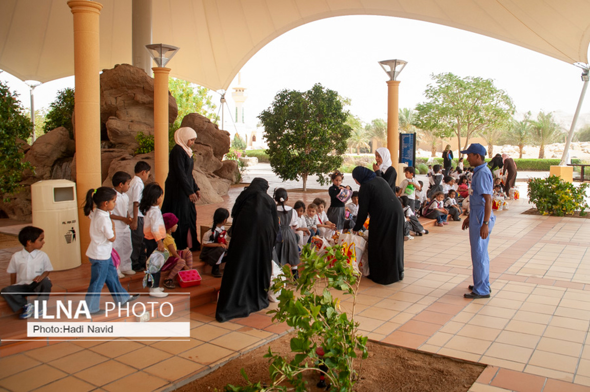 تصاویر: باغ وحش العین امارات