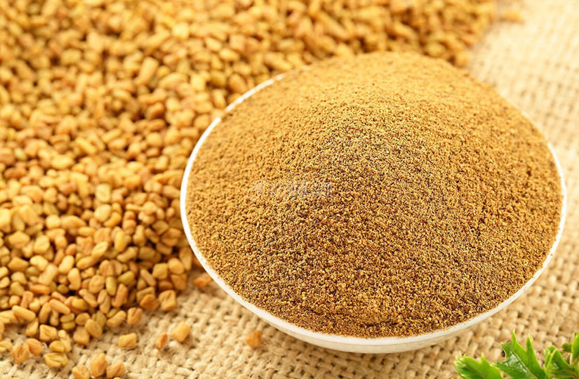 خواص و مضرات تخم شنبلیله چیست؟ خواص و مضرات تخم شنبلیله چیست؟
