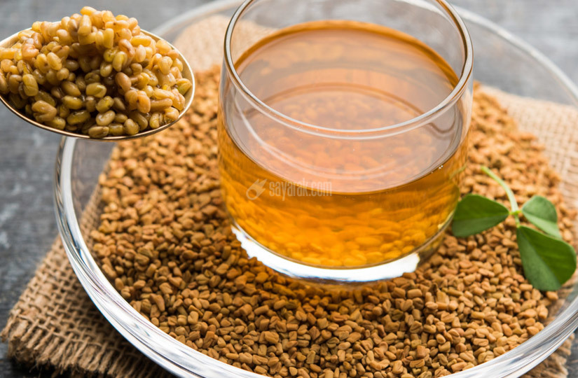 خواص و مضرات تخم شنبلیله چیست؟ خواص و مضرات تخم شنبلیله چیست؟