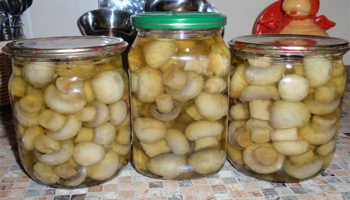 طرز تهیه کنسرو قارچ خانگی به روشی ساده و خوشمزه طرز تهیه کنسرو قارچ خانگی به روشی ساده و خوشمزه