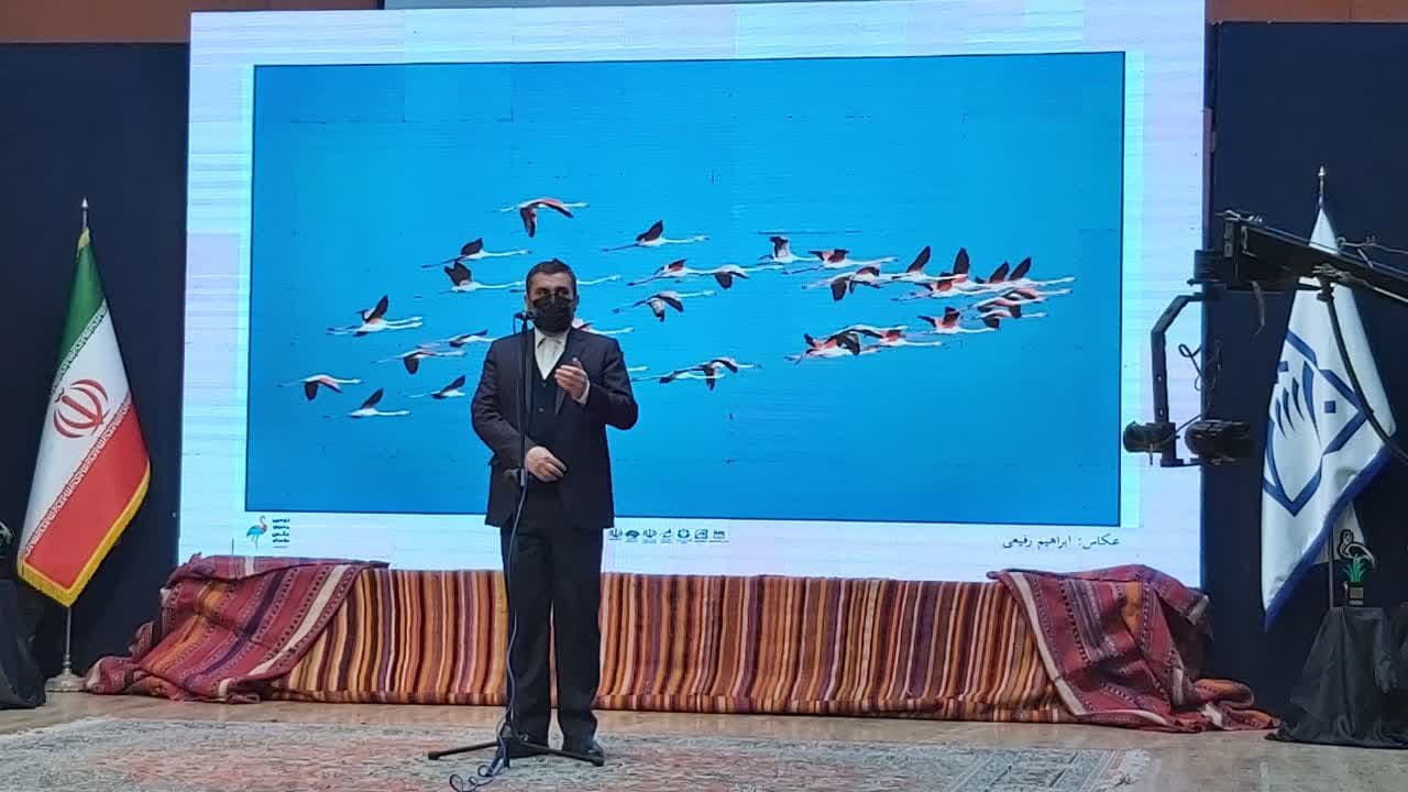حامی جشنواره حامی جشنواره
