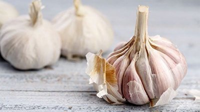 خوردن این سبزی پرطرفدار فشار خون و کلسترول را پایین می‌آورد