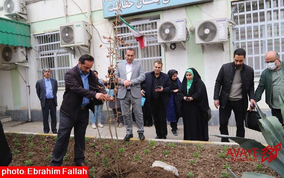 توزیع ۲.۸ میلیون اصله نهال در مازندران/آماده‌باش ۱۲۰۰ مأمور منابع طبیعی مازندران در نوروز