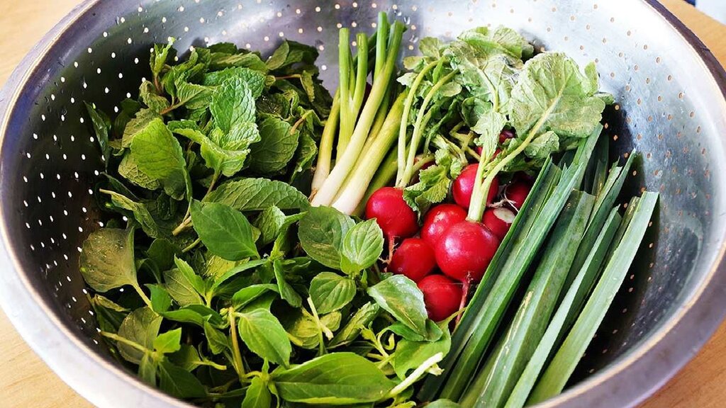 چند ترفند ساده برای تازه نگه داشتن سبزی خوردن
