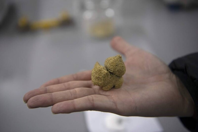 ایده ناسا به کمک تغذیه کودکان آمد | چاپ عروسک‌های سه بعدی خوراکی برای بچه‌های بدغذا