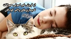 ببینید| حیواناتی که بچه‌های شما را بیمار می‌کنند/ از فروش غیر اصولی حیوانات تا بیماری‌های واگیردار