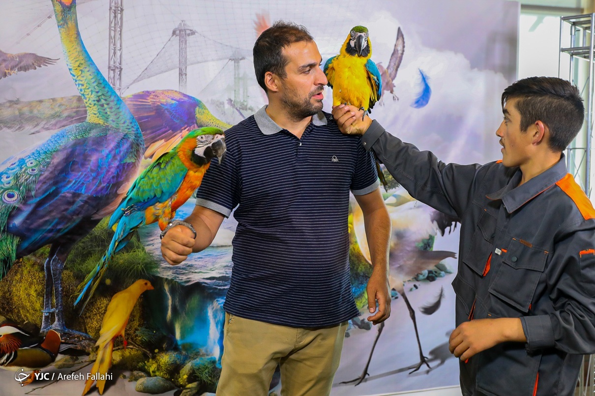 تصاویر: نمایشگاه پرندگان زینتی - برج میلاد