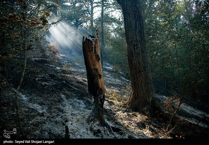 تصاویر: اطفای حریق در جنگل هفت خال کیاسر