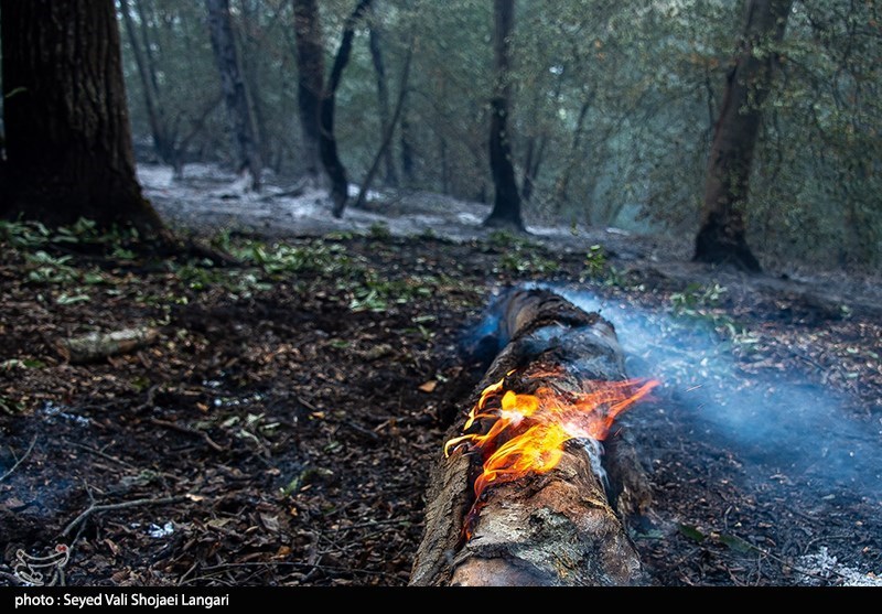 تصاویر: اطفای حریق در جنگل هفت خال کیاسر