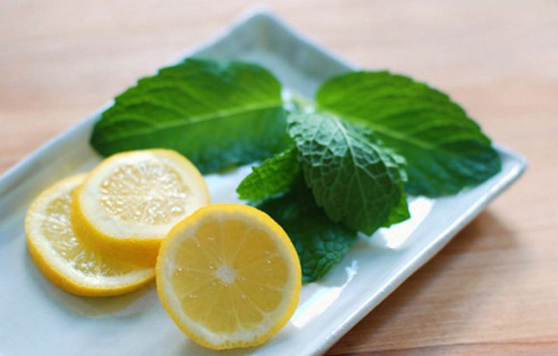 چه جوری با برگ نعنا جای جوش رو از بین ببریم؟ چه جوری با برگ نعنا جای جوش رو از بین ببریم؟