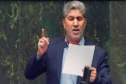 سوءمدیریت در مراسم پیاده‌روی اربعین مشهود است/ مجلس قصورهای مراسم اربعین را پیگیری می‌کند