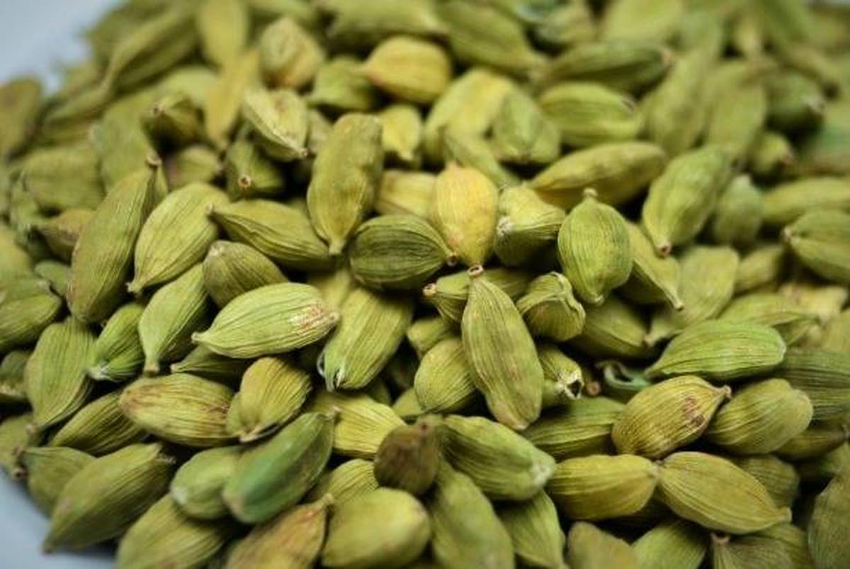 لاغری تضمینی با 11 گیاه دارویی و دمنوش خانگی ساده! لاغری تضمینی با 11 گیاه دارویی و دمنوش خانگی ساده!