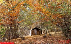 زیبایی‌های پاییز در مازندران