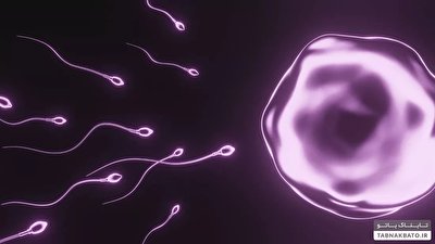 کاهش تعداد اسپرم در مردان سراسر جهان