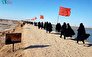 «راوی نبرد»