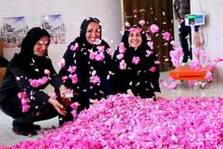 عطر گل‌محمدی در 