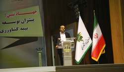 ایران دومین کشور در حمایت از بخش کشاورزی