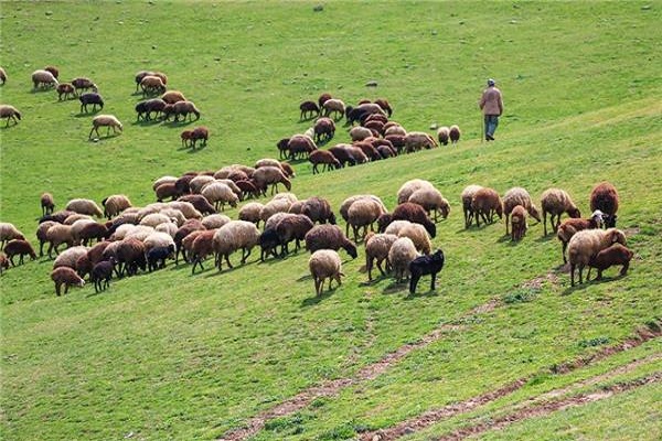 قرق‌شکنی؛ برنامه‌ای موثر در حراست از منابع طبیعی