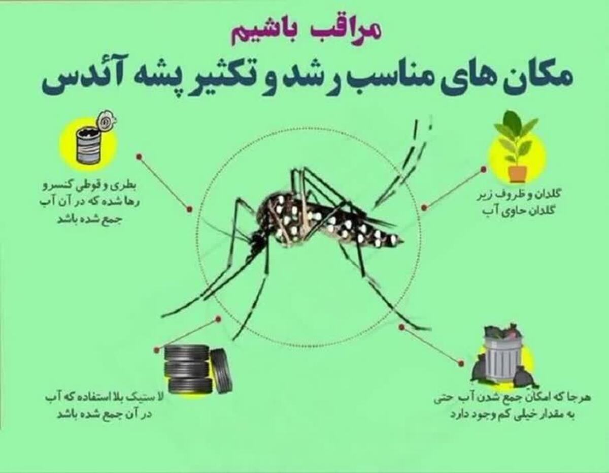 پشه‌های آئدس به محمودآباد رسیدند