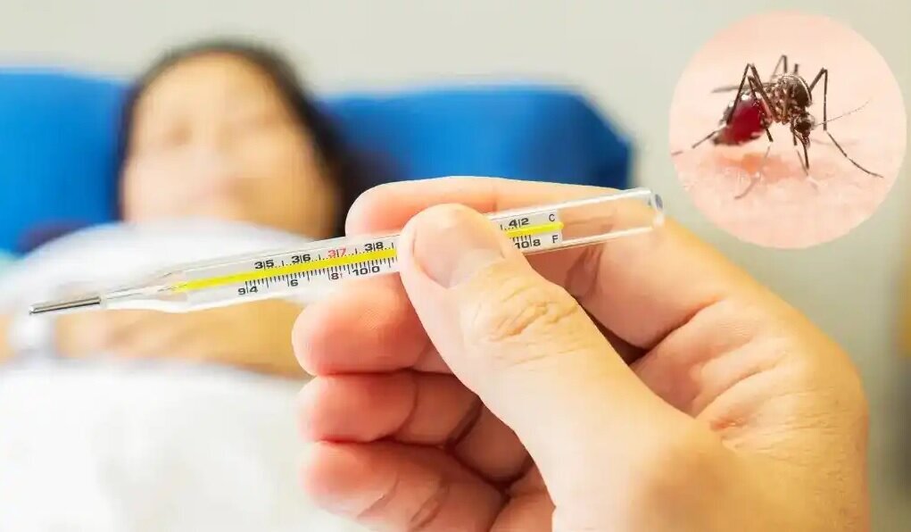 «تب دانگ» چیست و چگونه منتقل میشود؟ «تب دانگ» چیست و چگونه منتقل میشود؟