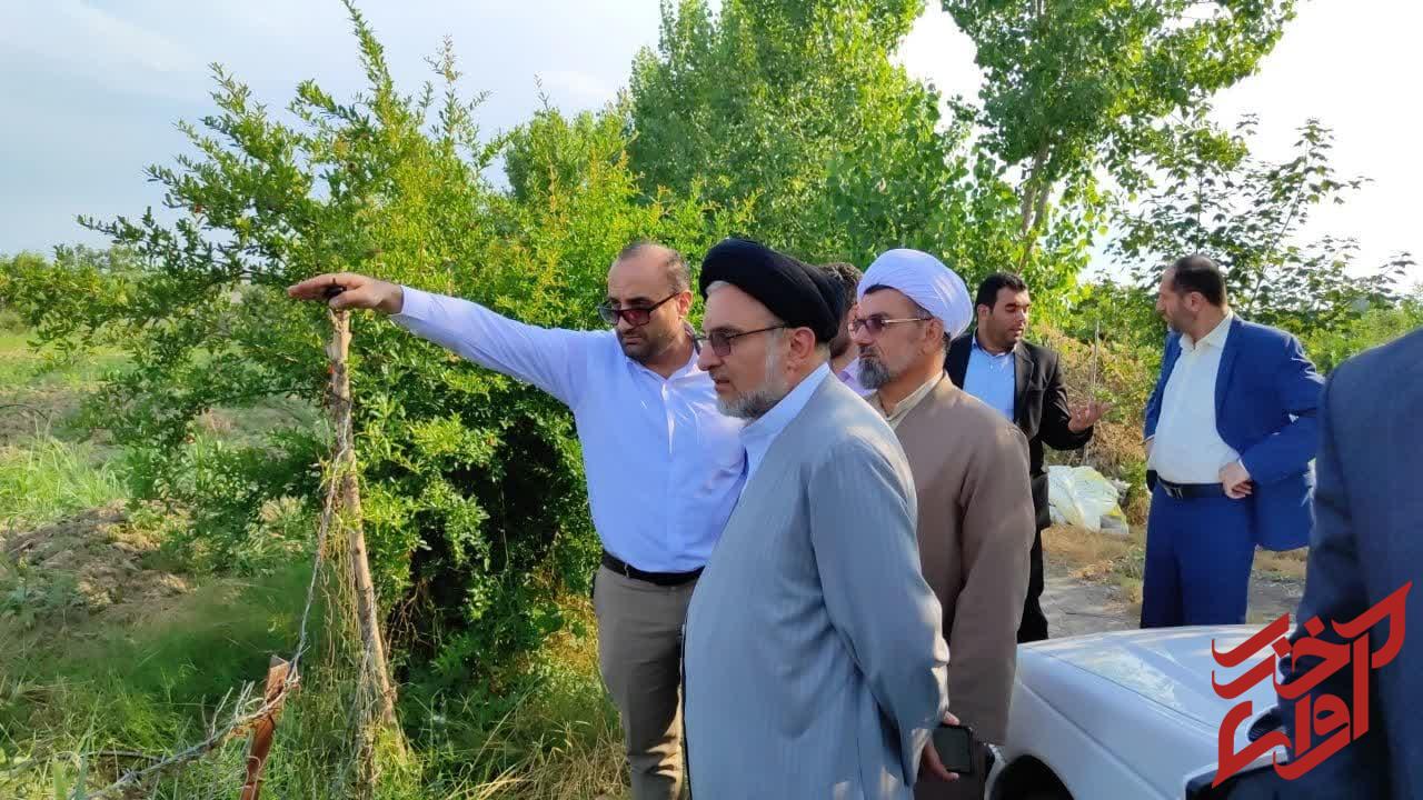 زمین‌های بیابان‌پایه در قالب طرح‌های دانش‌بنيان احیا می‌شوند