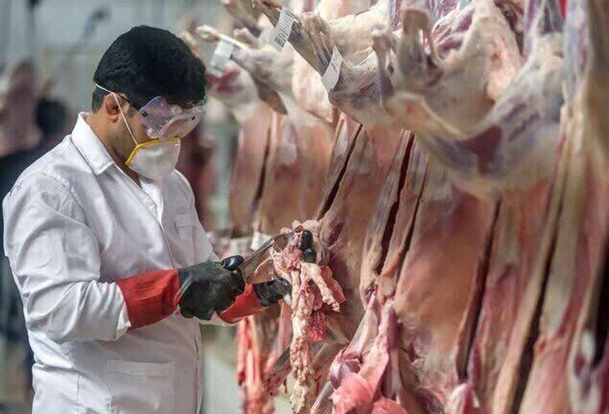 ذبح شرعی و بهداشتی دام برای مددجویان بهزیستی مازندران در عید قربان
