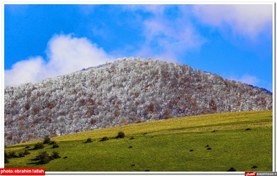 زیبایی‌های پاییز هزار نقش در دودانگه‌ی ساری