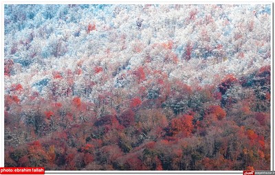 زیبایی‌های پاییز هزار نقش در دودانگه‌ی ساری