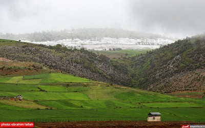 بارش برف بهاری در دودانگه‌ی ساری