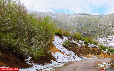 بارش برف بهاری در دودانگه‌ی ساری