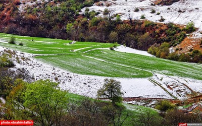 بارش برف بهاری در دودانگه‌ی ساری