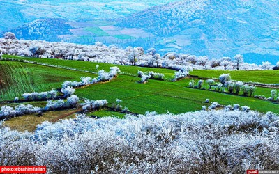 بارش برف بهاری در دودانگه‌ی ساری