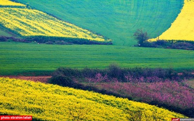 مزارع و باغات شرق مازندران در بهار 1400