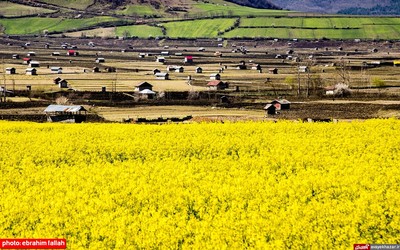 مزارع و باغات شرق مازندران در بهار 1400