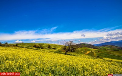 مزارع و باغات شرق مازندران در بهار 1400