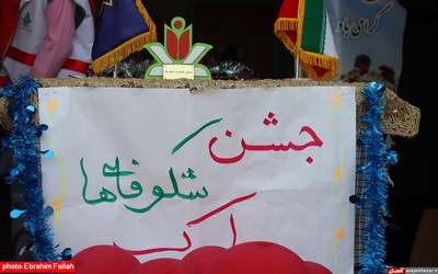 جشن شكوفه ها در مدرسه شاهد دخترانه ی نکا برگزار شد(2)