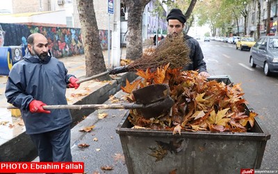 پاییز ساری ۱۴۰۰