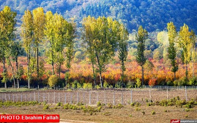 پاییز ساری از دریچه دوربین ابراهیم فلاح