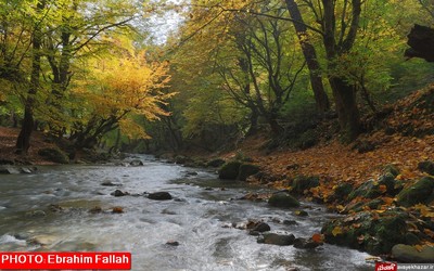 پاییز ساری از دریچه دوربین ابراهیم فلاح