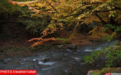 پاییز ساری از دریچه دوربین ابراهیم فلاح