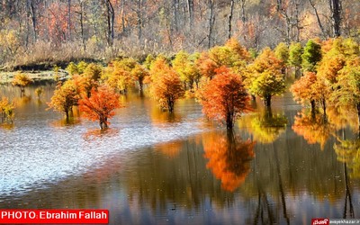 پاییز ساری از دریچه دوربین ابراهیم فلاح