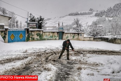 بارش نخستین برف سنگین زمستانی در سوادکوه