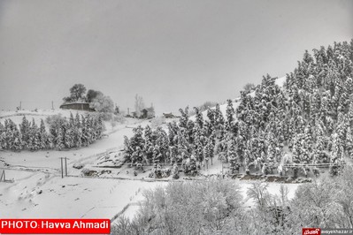 بارش نخستین برف سنگین زمستانی در سوادکوه