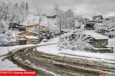 بارش نخستین برف سنگین زمستانی در سوادکوه