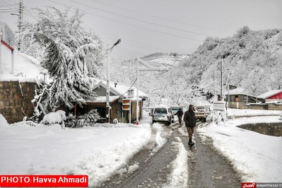 بارش نخستین برف سنگین زمستانی در سوادکوه