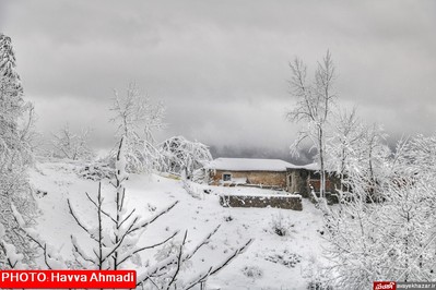 بارش نخستین برف سنگین زمستانی در سوادکوه