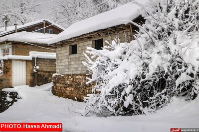 بارش نخستین برف سنگین زمستانی در سوادکوه